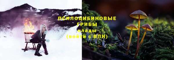 СК Михайловск