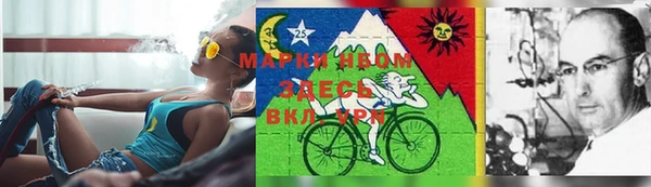 мдпв Мегион