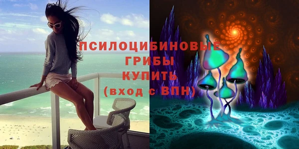 мяу мяу мука Медногорск