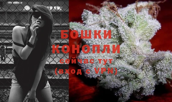 мдпв Мегион