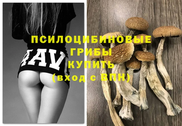 мяу мяу мука Медногорск