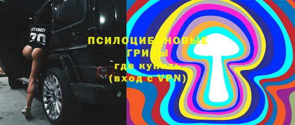 мдпв Мегион