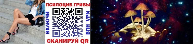 Галлюциногенные грибы Psilocybe  купить наркотики цена  Нерехта 